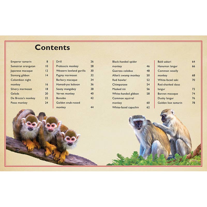 Insight Editions - The Magnificent Book of Monkeys and Apes