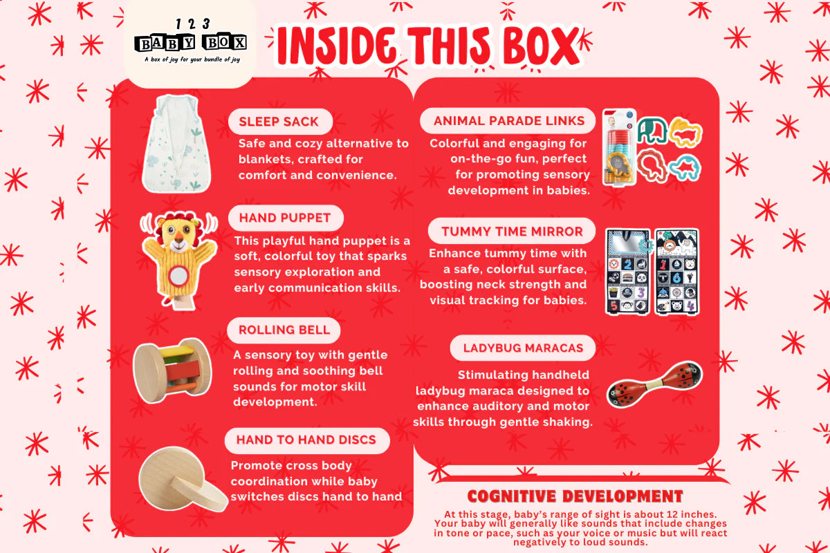 123 Baby Box - 3-4 Months Montessori Educational Box