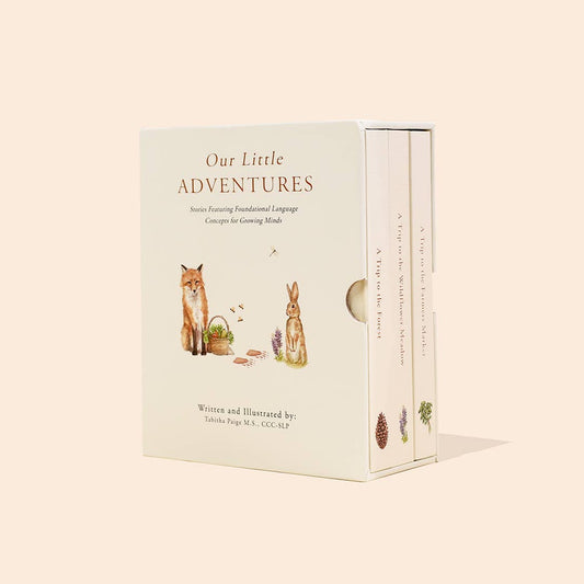 Paige Tate & Co. - Our Little Adventures Box Set for Kids (3 Board Books)