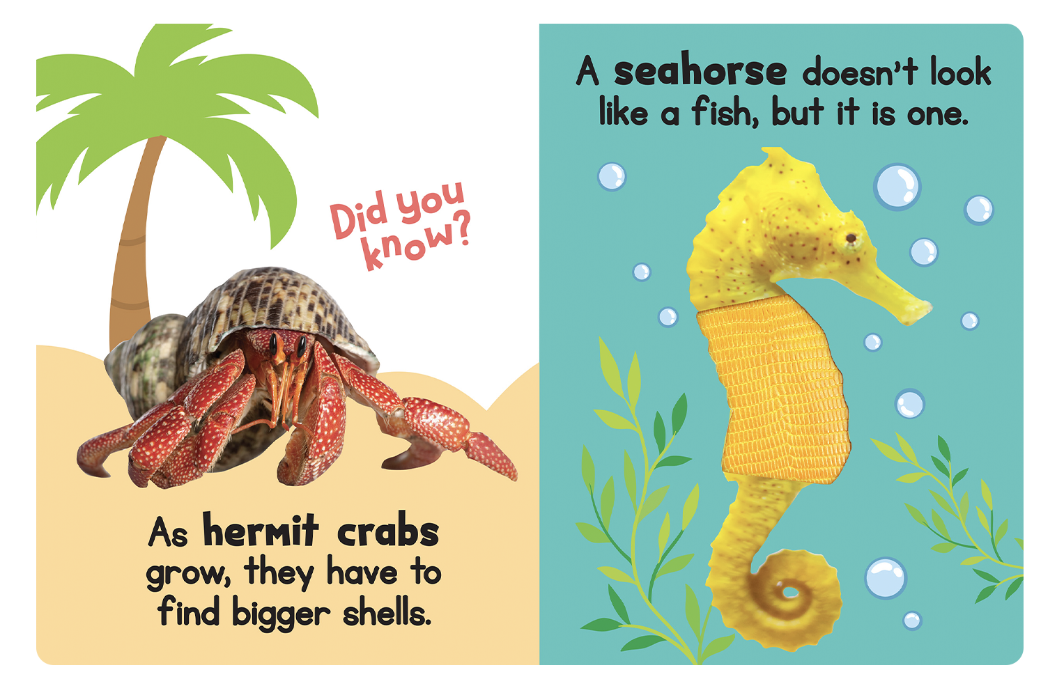 Ocean Friends - Touch and Feel - Little Hippo Books - Glee Garden