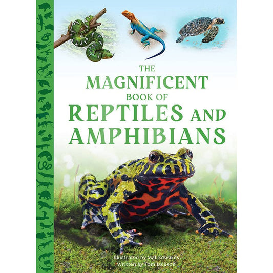 Insight Editions - The Magnificent Book of Reptiles and Amphibians