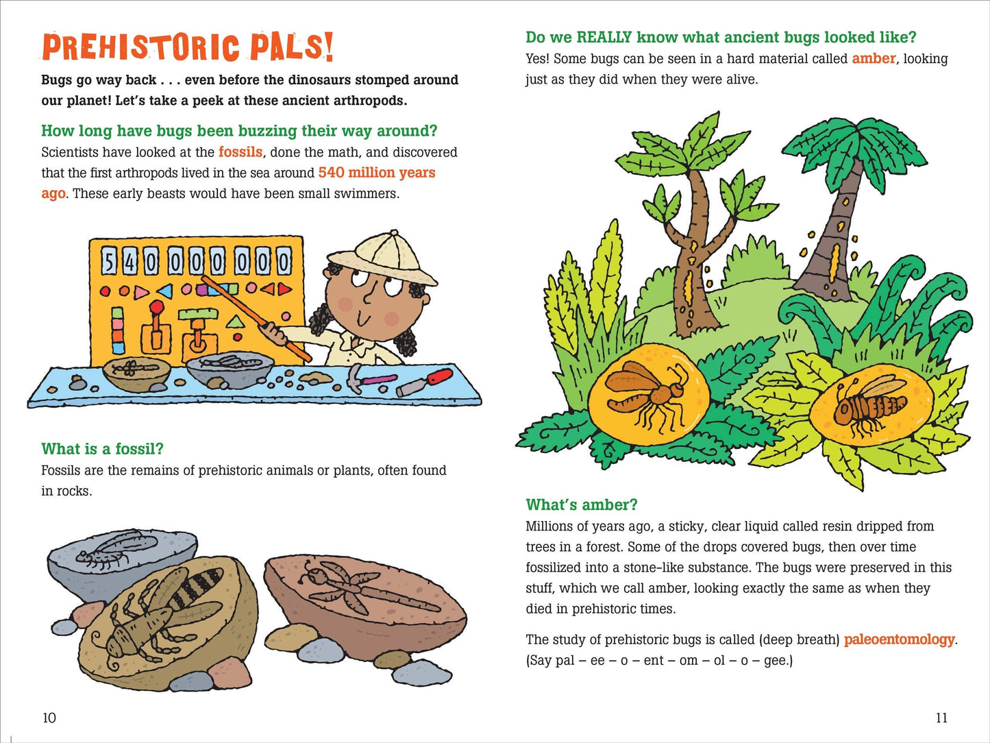 Peter Pauper Press - 100 Questions about Bugs