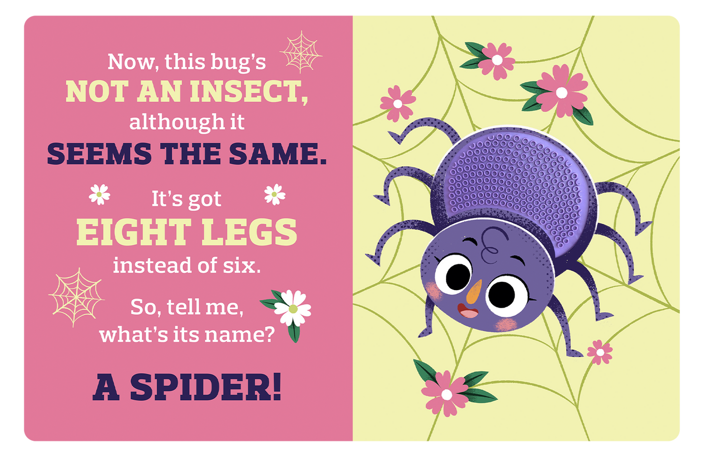 Backyard Bugs - Touch and Feel Board Book - Little Hippo Books - Glee Garden