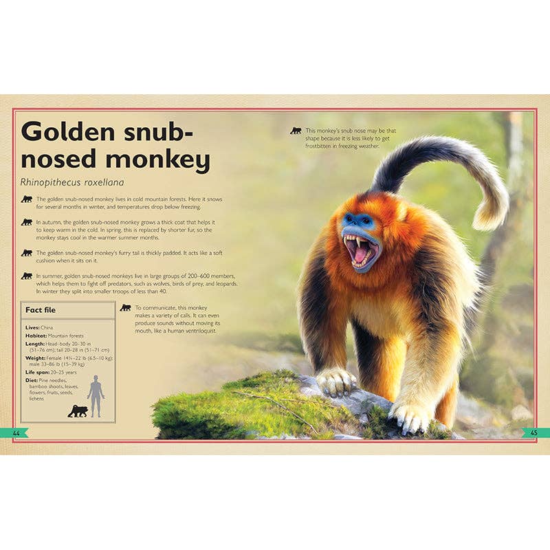 Insight Editions - The Magnificent Book of Monkeys and Apes