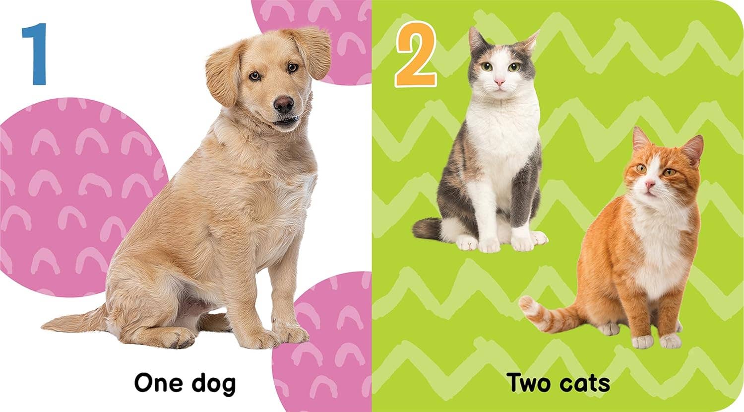 My First Library - Baby Book Set - Little Hippo Books - Glee Garden