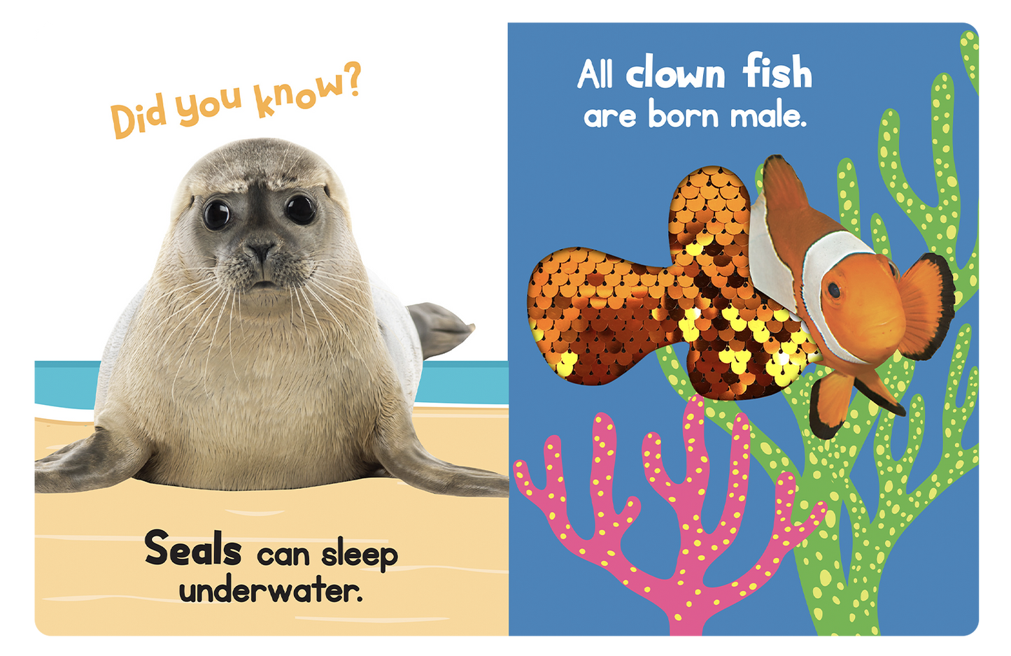 Ocean Friends - Touch and Feel - Little Hippo Books - Glee Garden