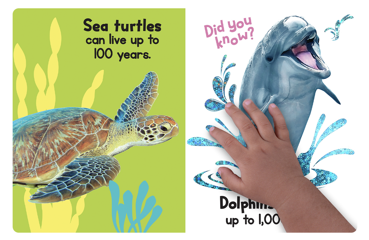 Ocean Friends - Touch and Feel - Little Hippo Books - Glee Garden