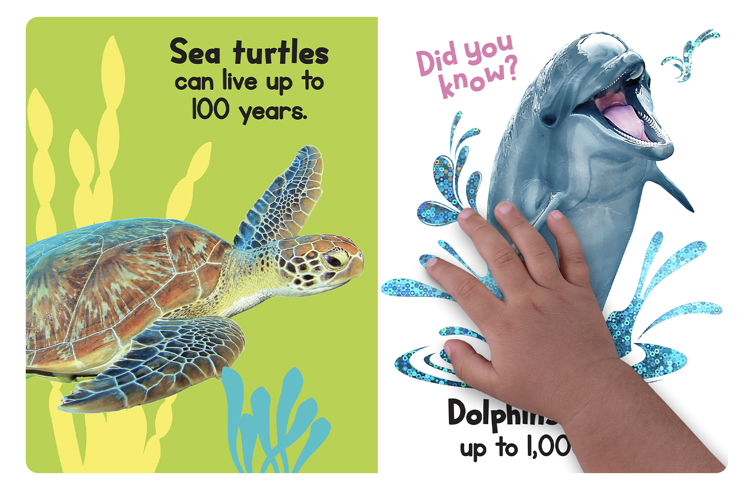 Ocean Friends - Touch and Feel - Little Hippo Books - Glee Garden
