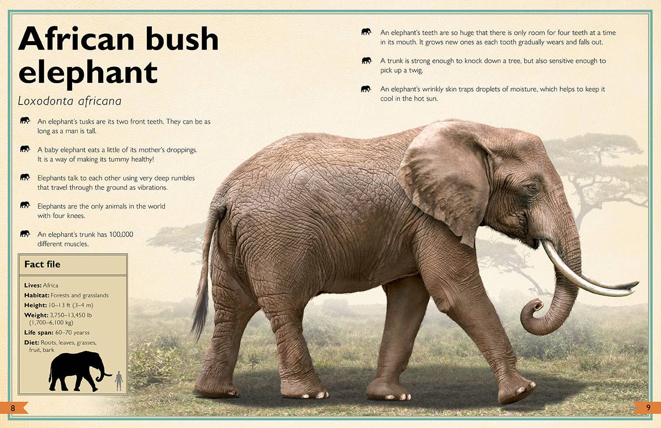 Insight Editions - The Magnificent Book of Animals