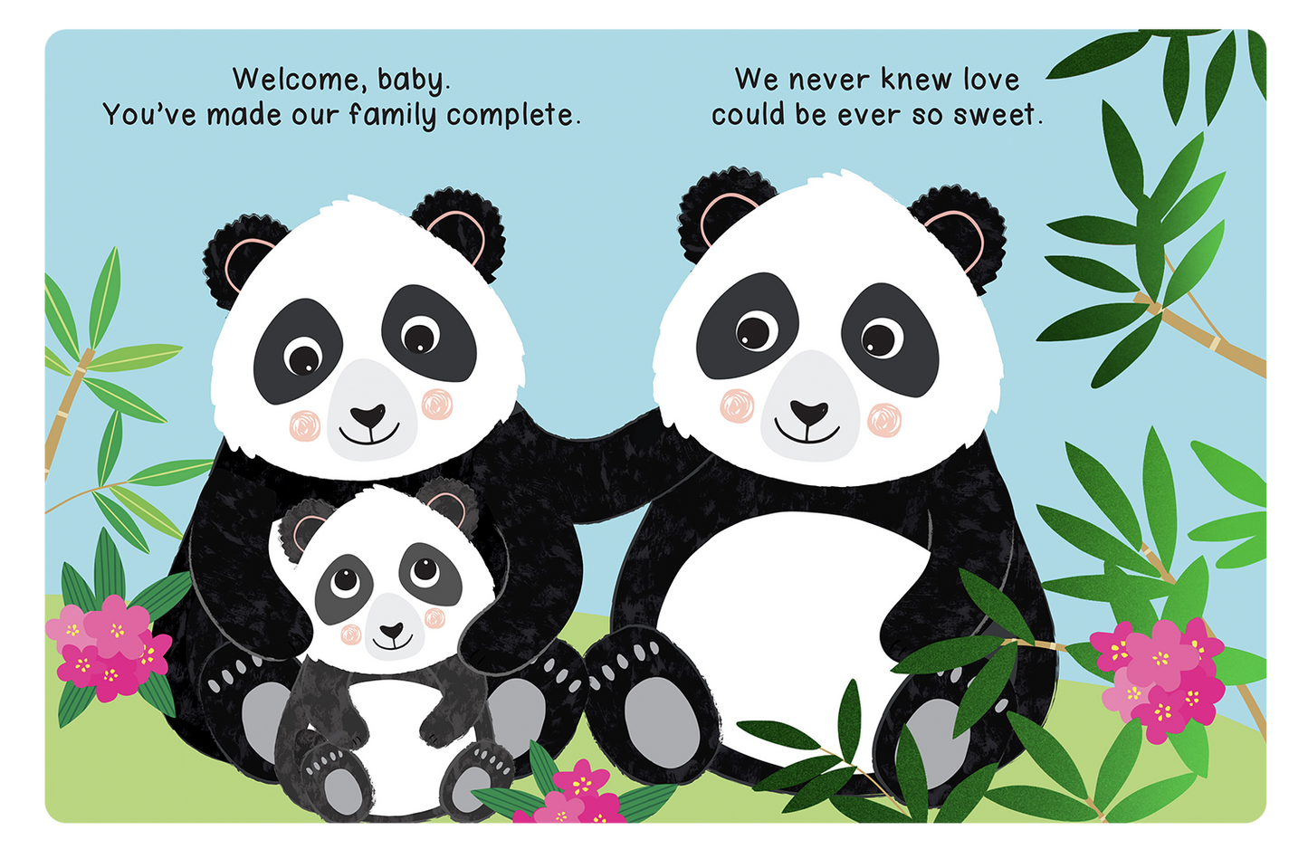 Welcome, Baby - Touch and Feel - Little Hippo Books - Glee Garden