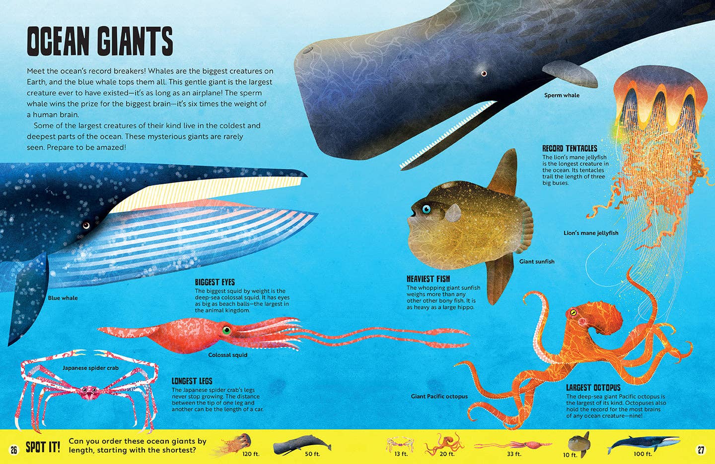 Insight Editions - My First Oceans Atlas