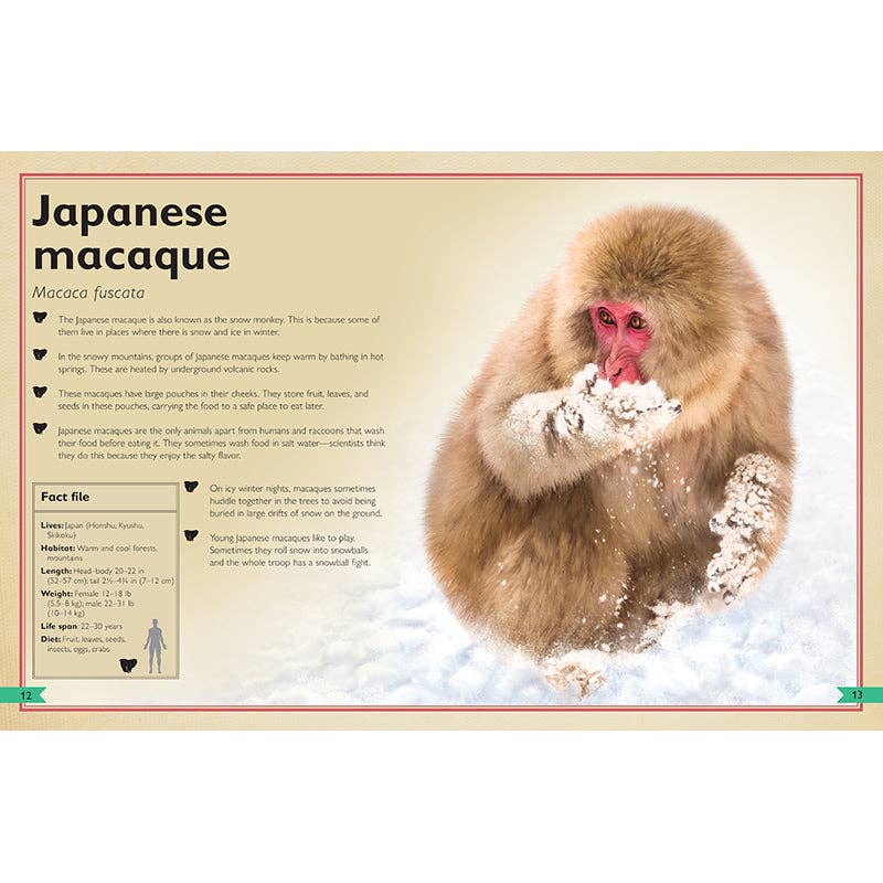Insight Editions - The Magnificent Book of Monkeys and Apes