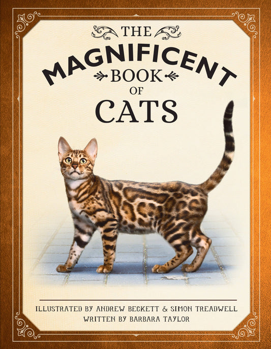 Insight Editions - The Magnificent Book of Cats