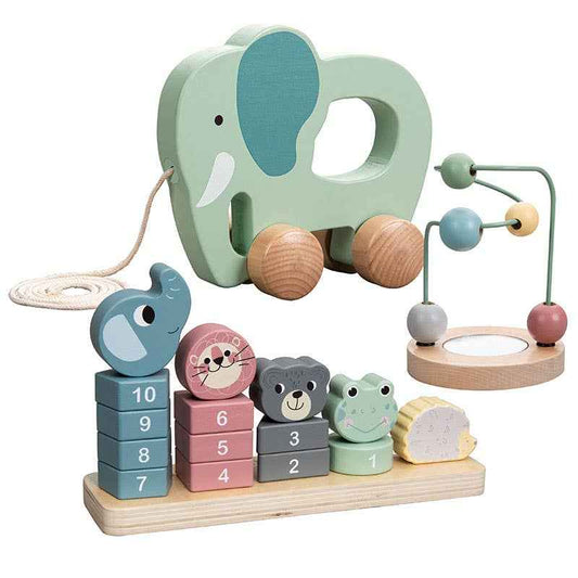 Wooden Educational Toy Trio - ToysLink - Glee Garden
