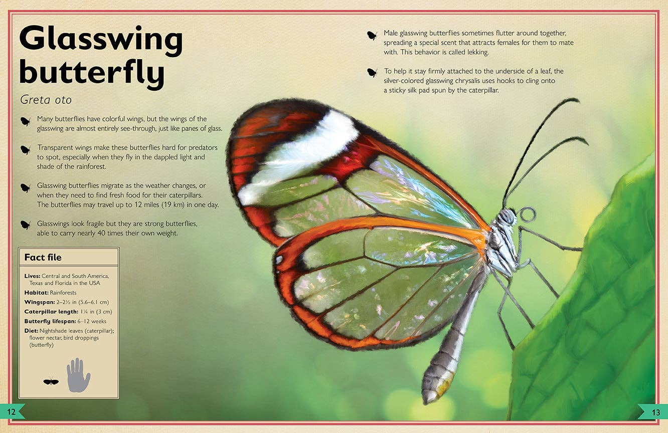 Insight Editions - The Magnificent Book of Butterflies & Moths