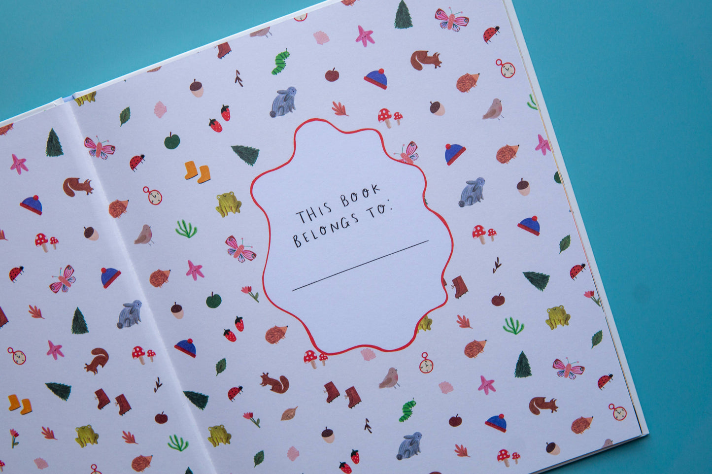 Brown Paper Fox - Go On Outside | Hardcover Picture Book | High Quality Books | Canadian Publisher