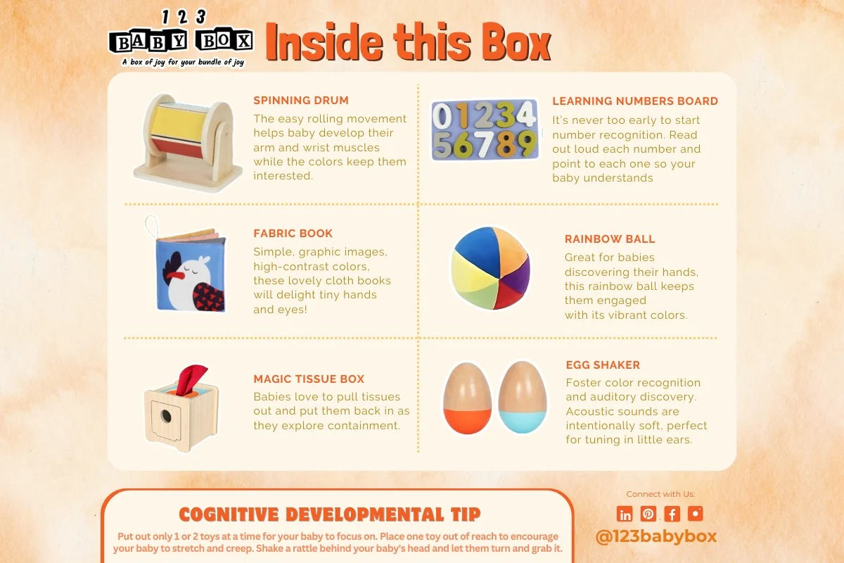 123 Baby Box - 5-6 Months Montessori Educational Box