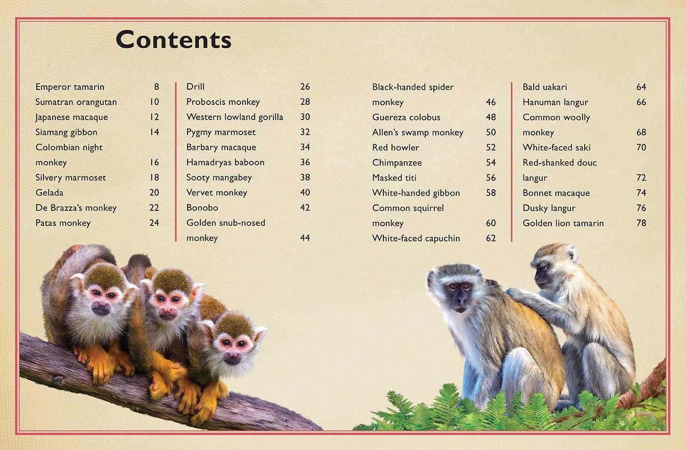 Insight Editions - The Magnificent Book of Monkeys and Apes