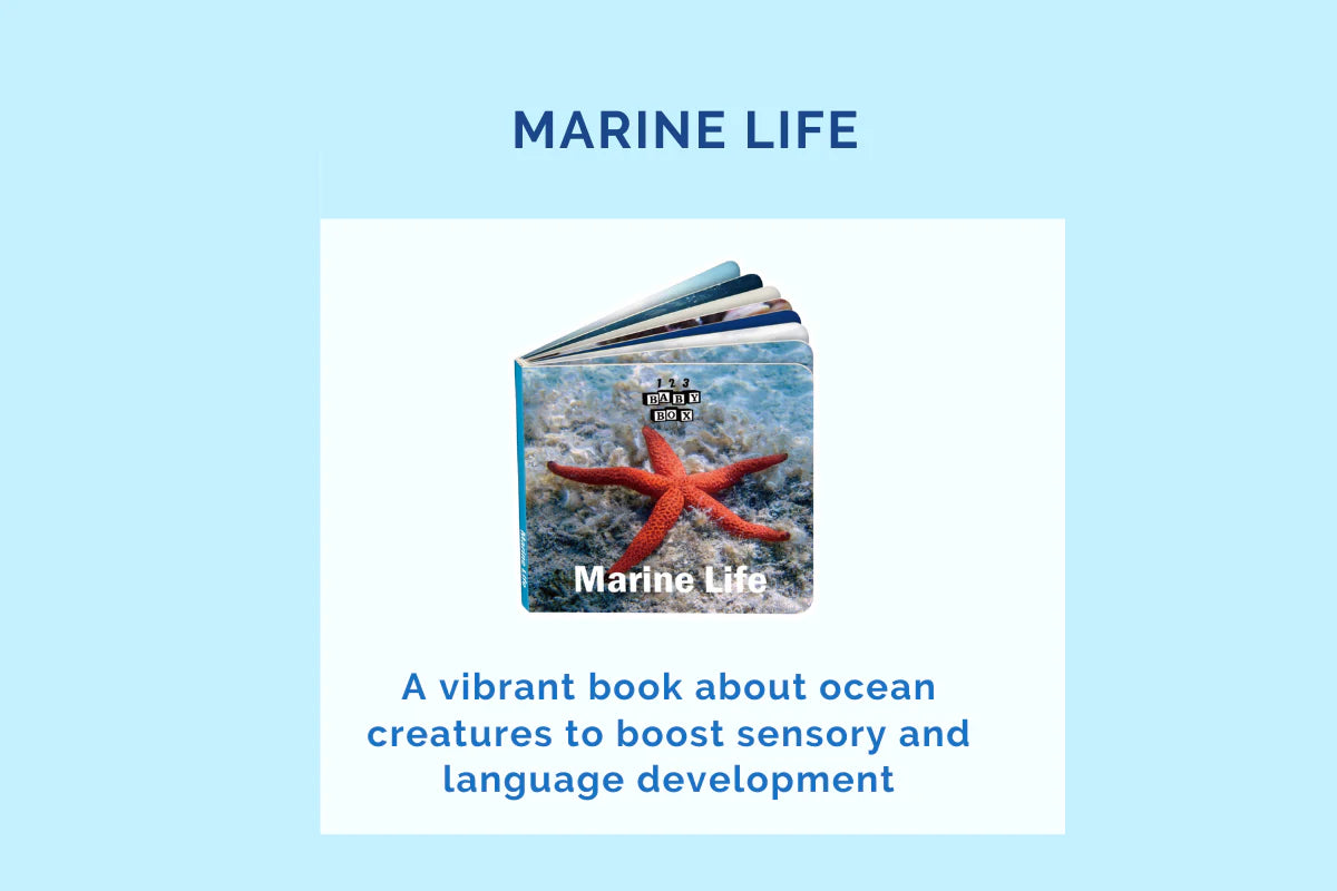 123 Baby Box - 19-21 Months Montessori Educational Box