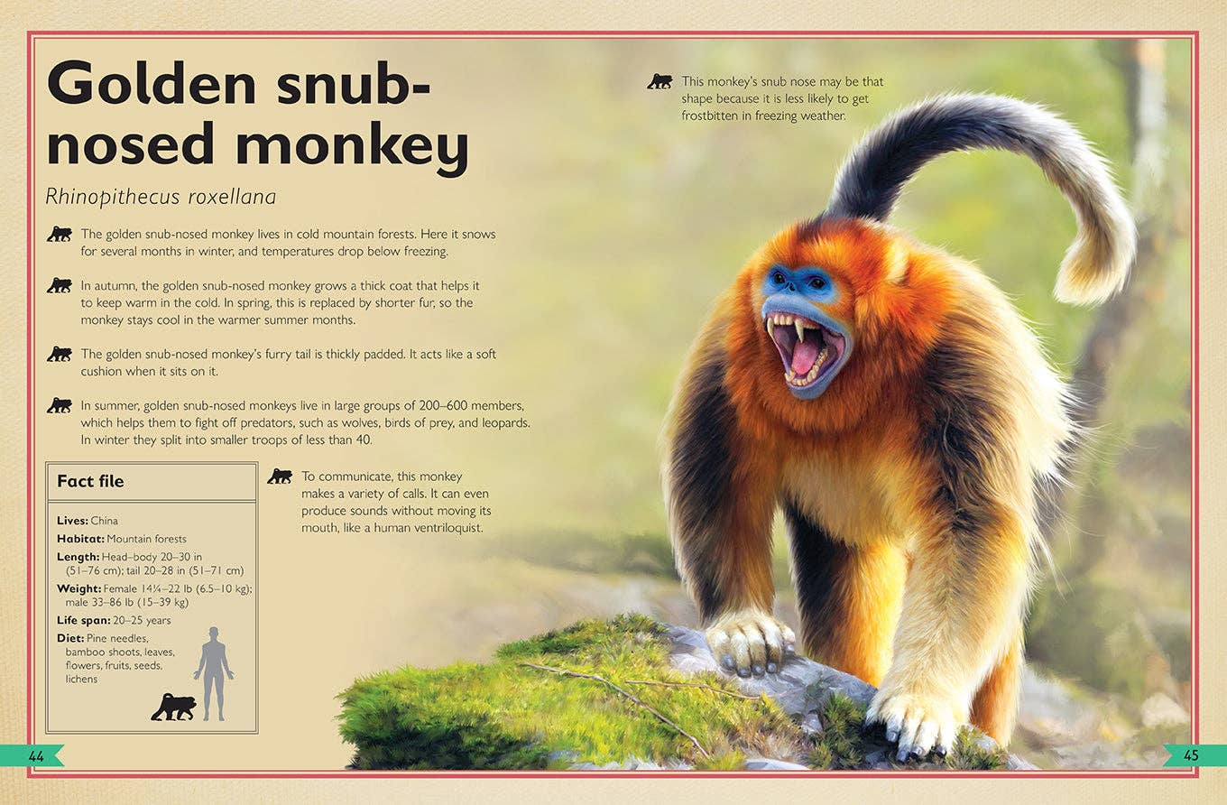 Insight Editions - The Magnificent Book of Monkeys and Apes