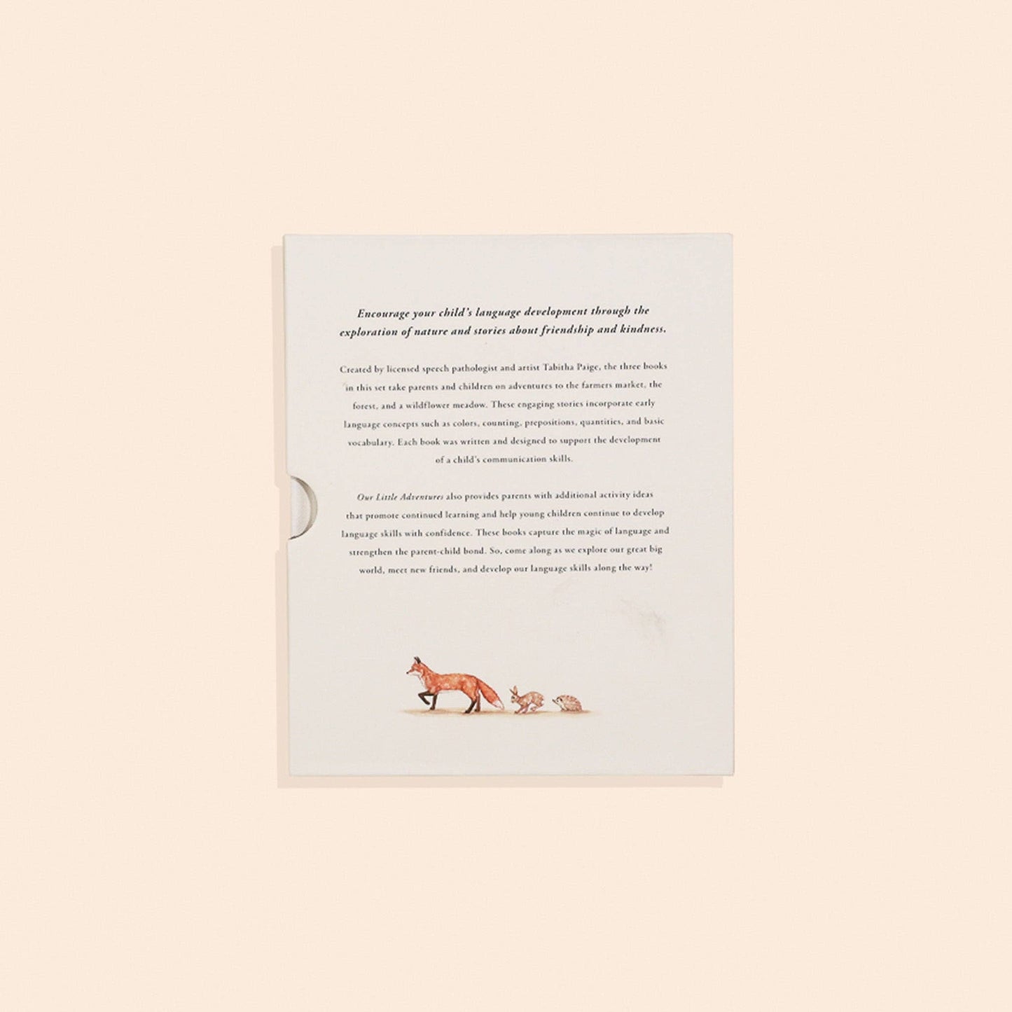 Paige Tate & Co. - Our Little Adventures Box Set for Kids (3 Board Books)