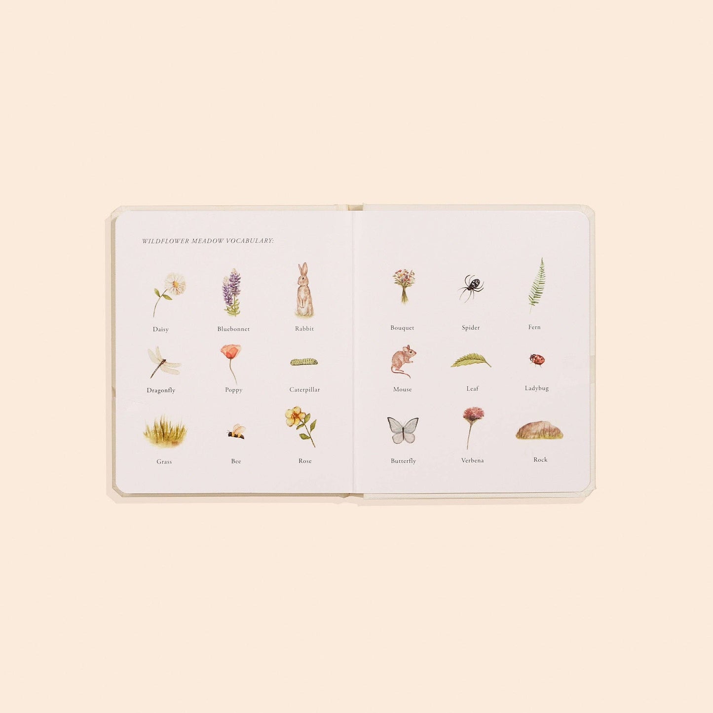 Paige Tate & Co. - Our Little Adventures Box Set for Kids (3 Board Books)