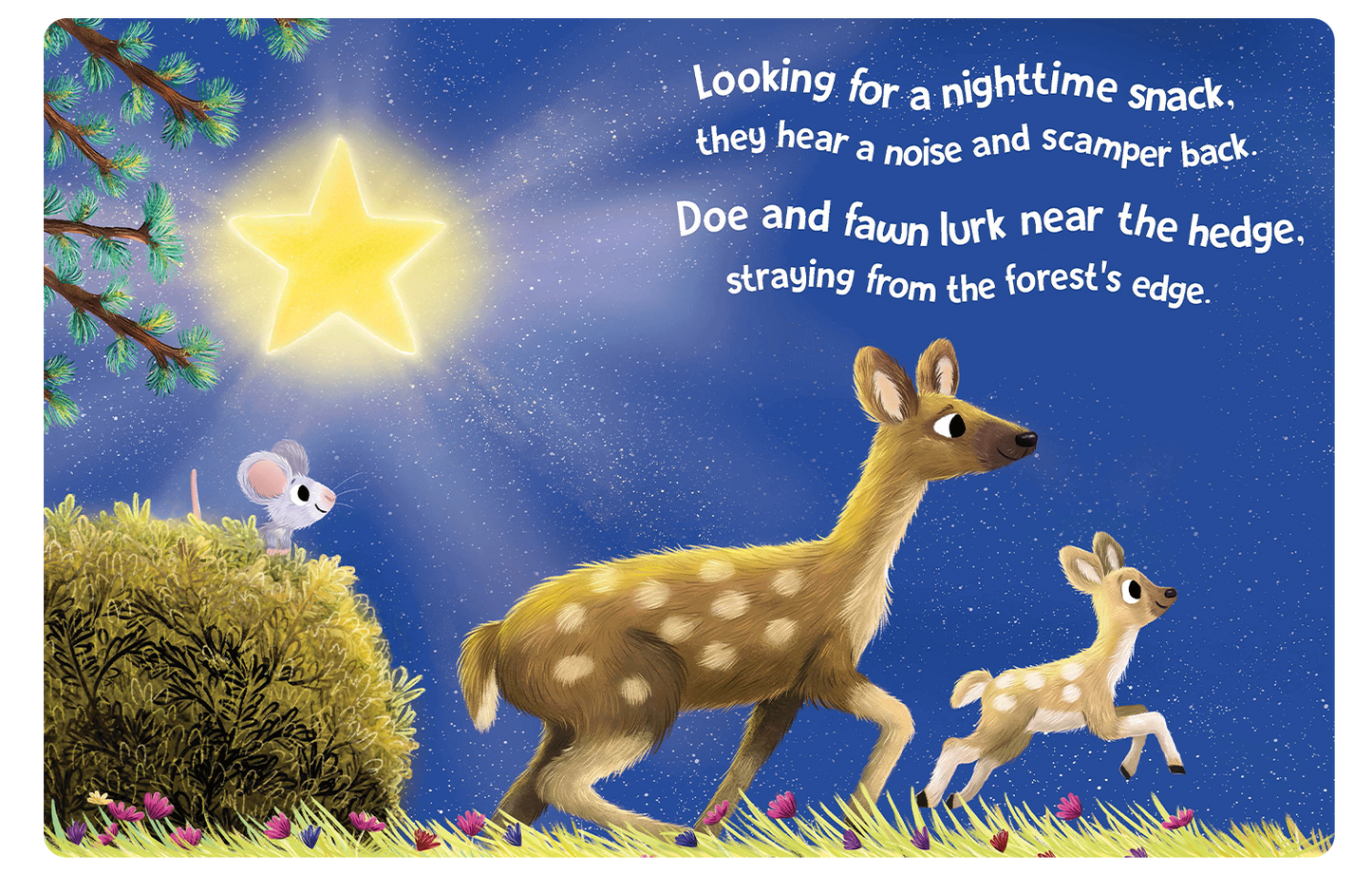 Little Hippo Books - Twinkle, Twinkle, Little Star- Children's Padded Board Book