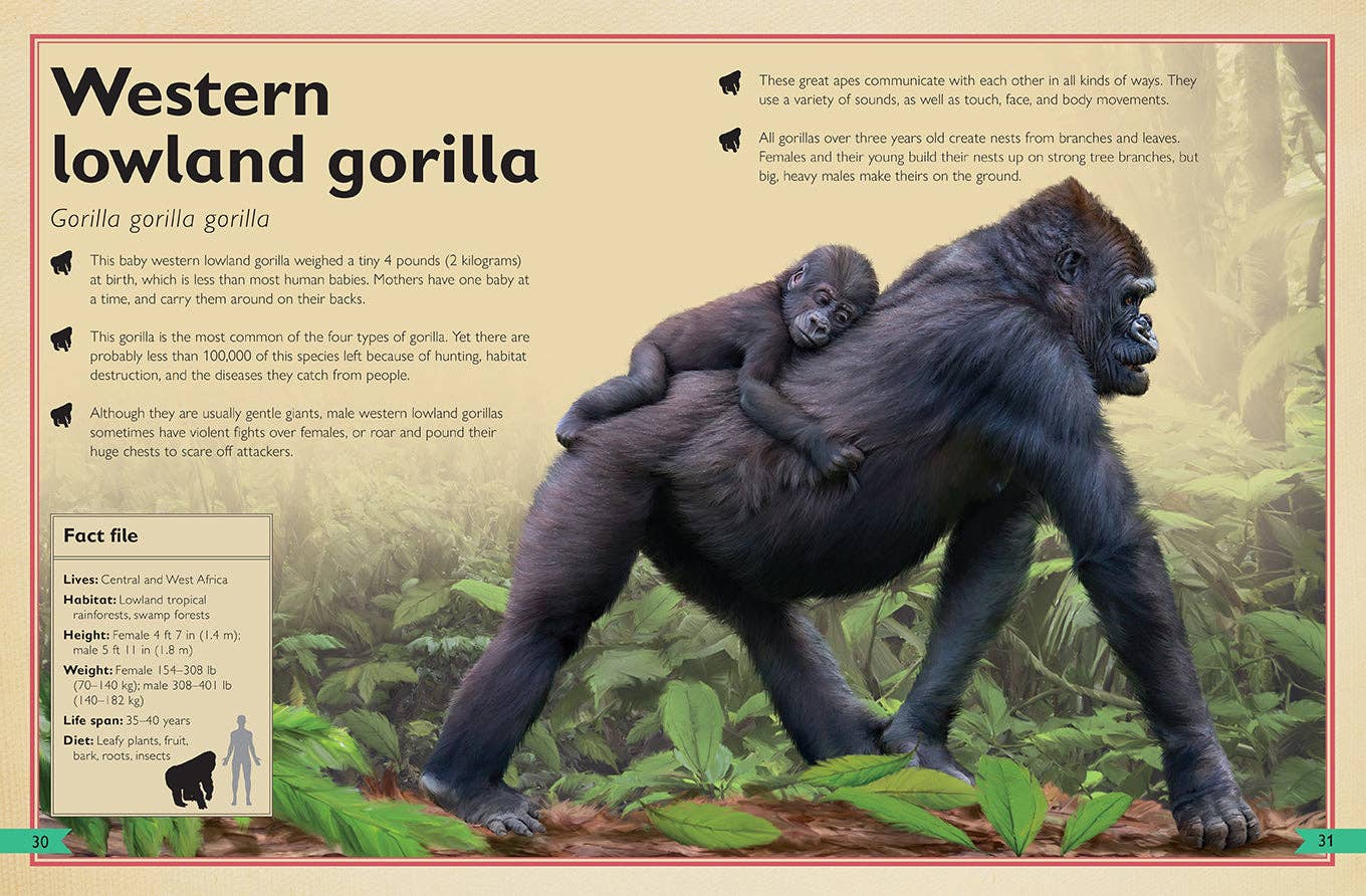 Insight Editions - The Magnificent Book of Monkeys and Apes