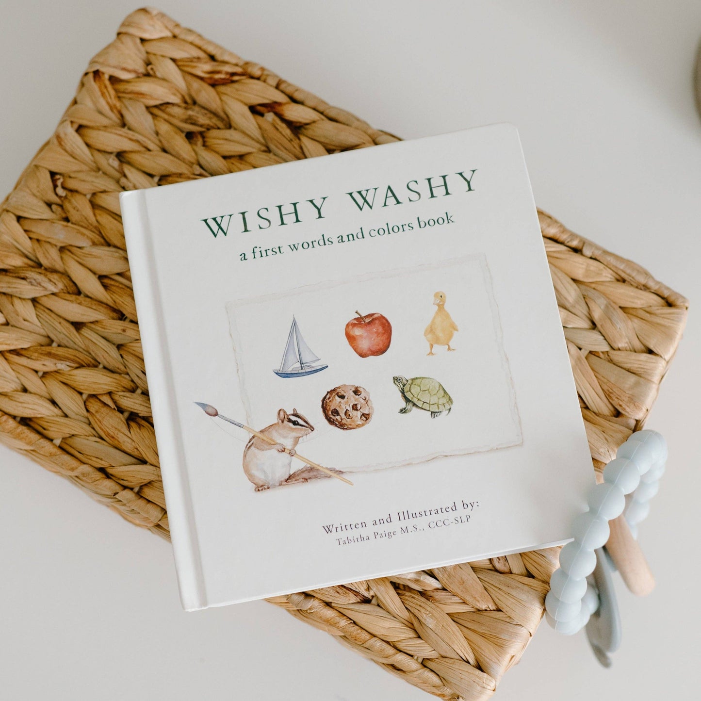 Wishy Washy: A Board Book of First Words and Colors - Paige Tate & Co. - Glee Garden