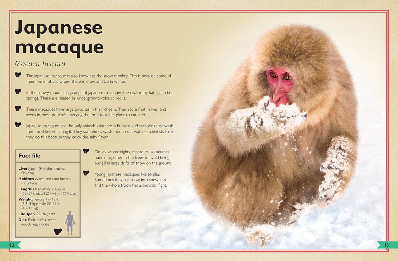 Insight Editions - The Magnificent Book of Monkeys and Apes