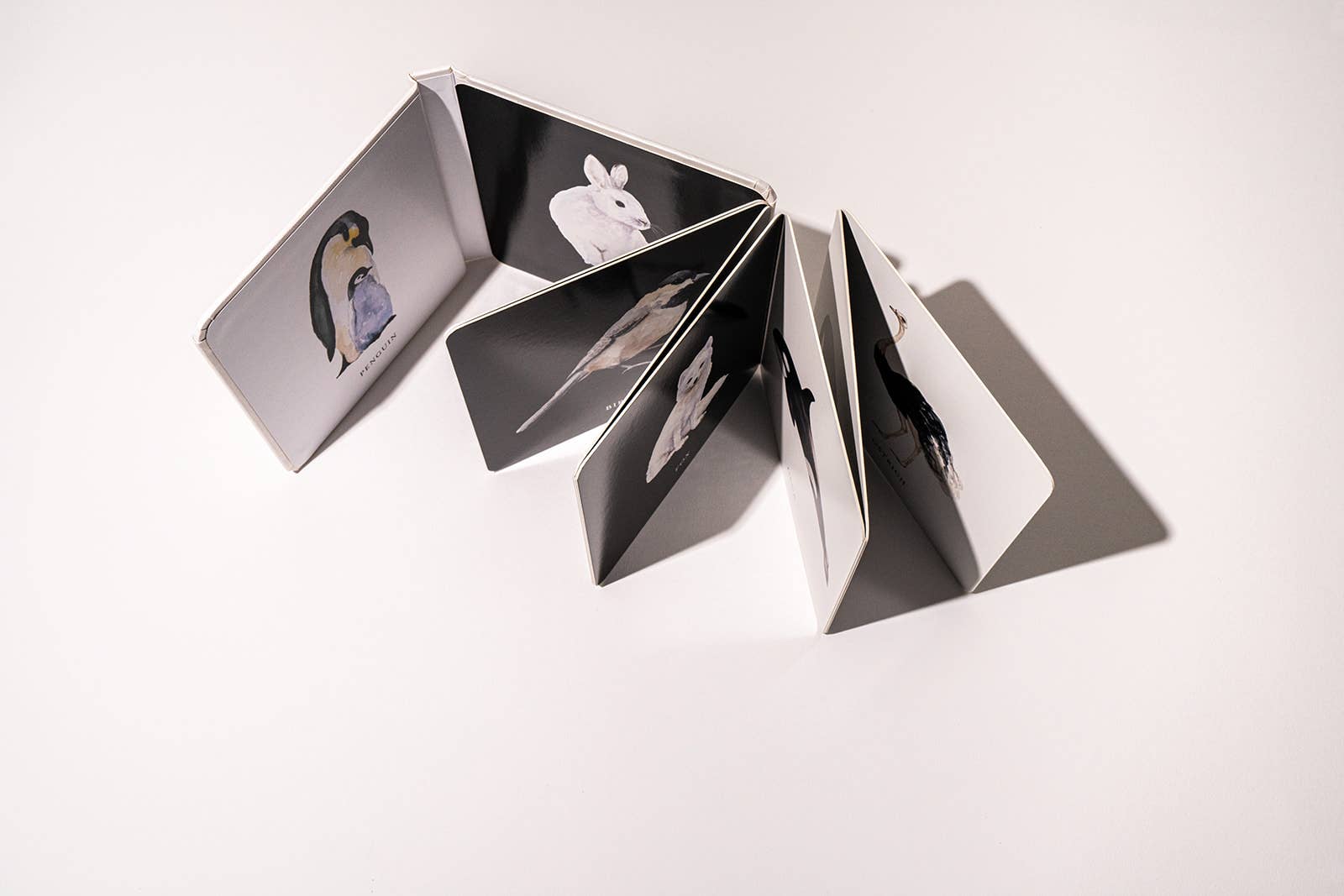 Black and White Contrast Book - Paige Tate & Co. - Glee Garden