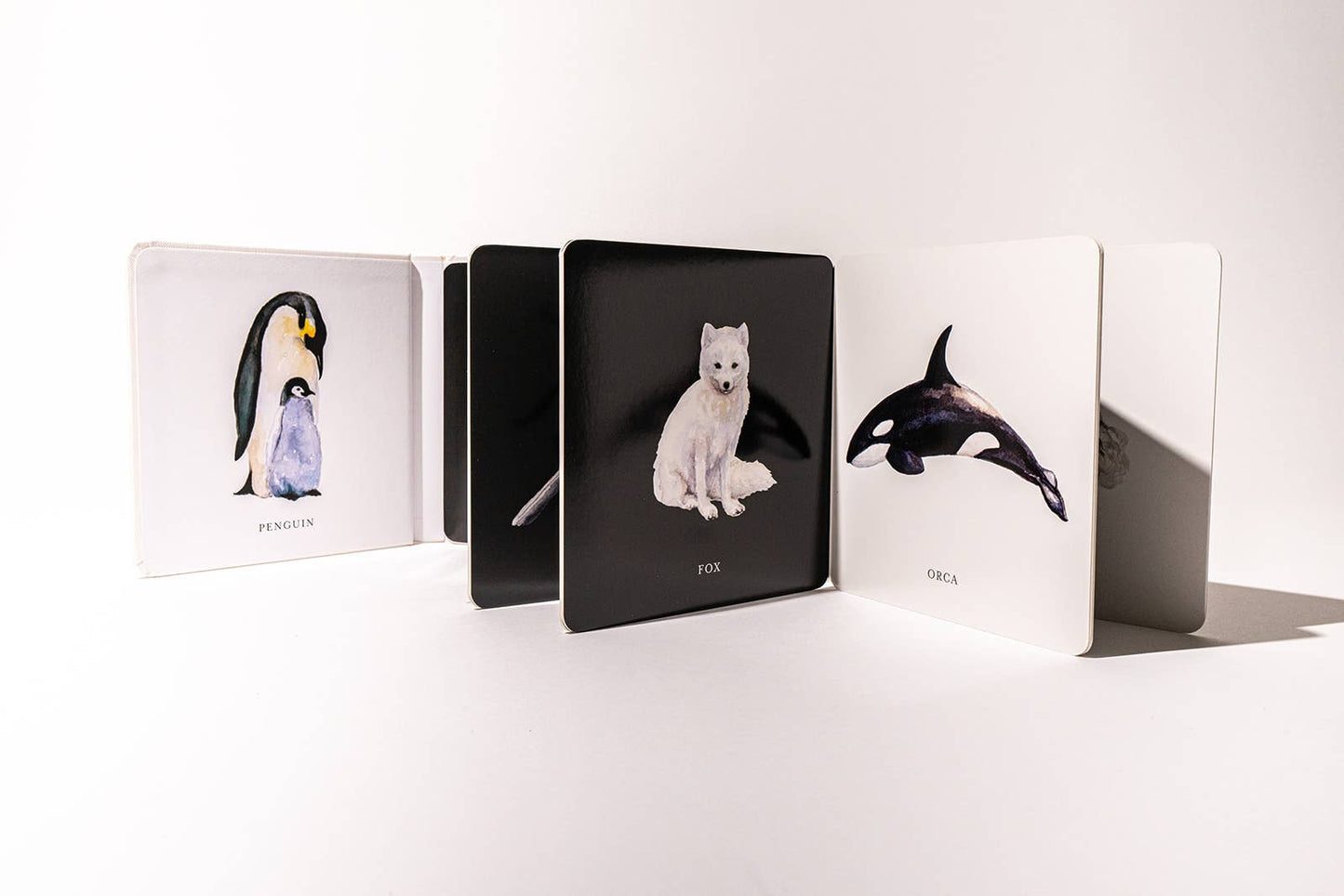 Black and White Contrast Book - Paige Tate & Co. - Glee Garden