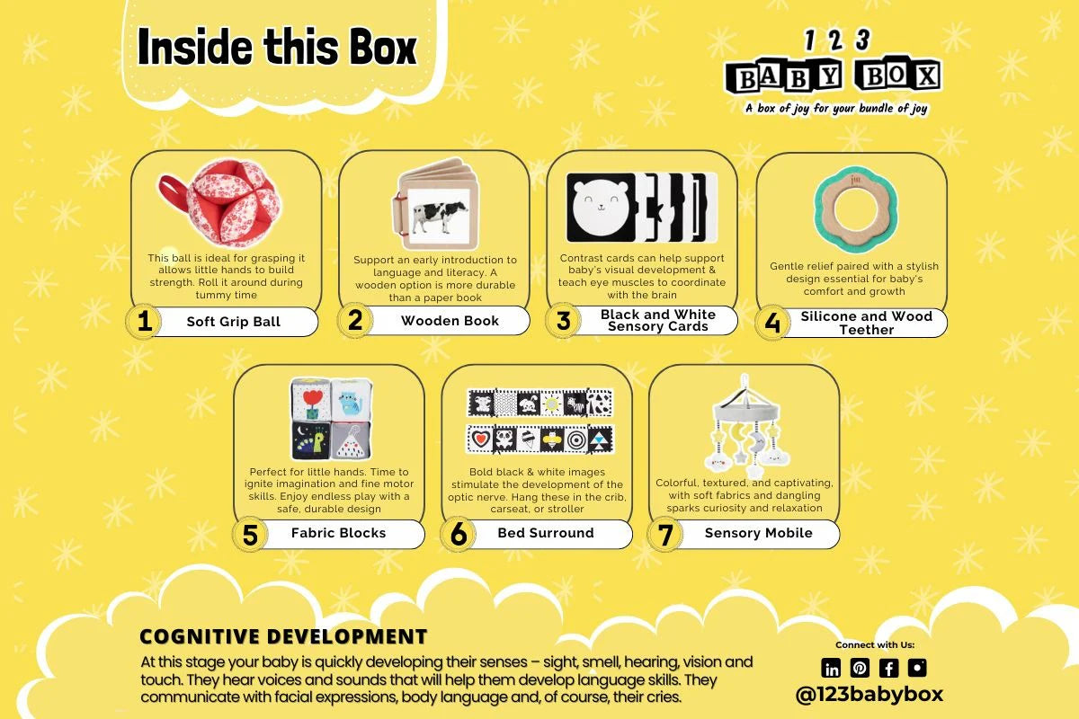 123 Baby Box - 0-2 Months Montessori Educational Box