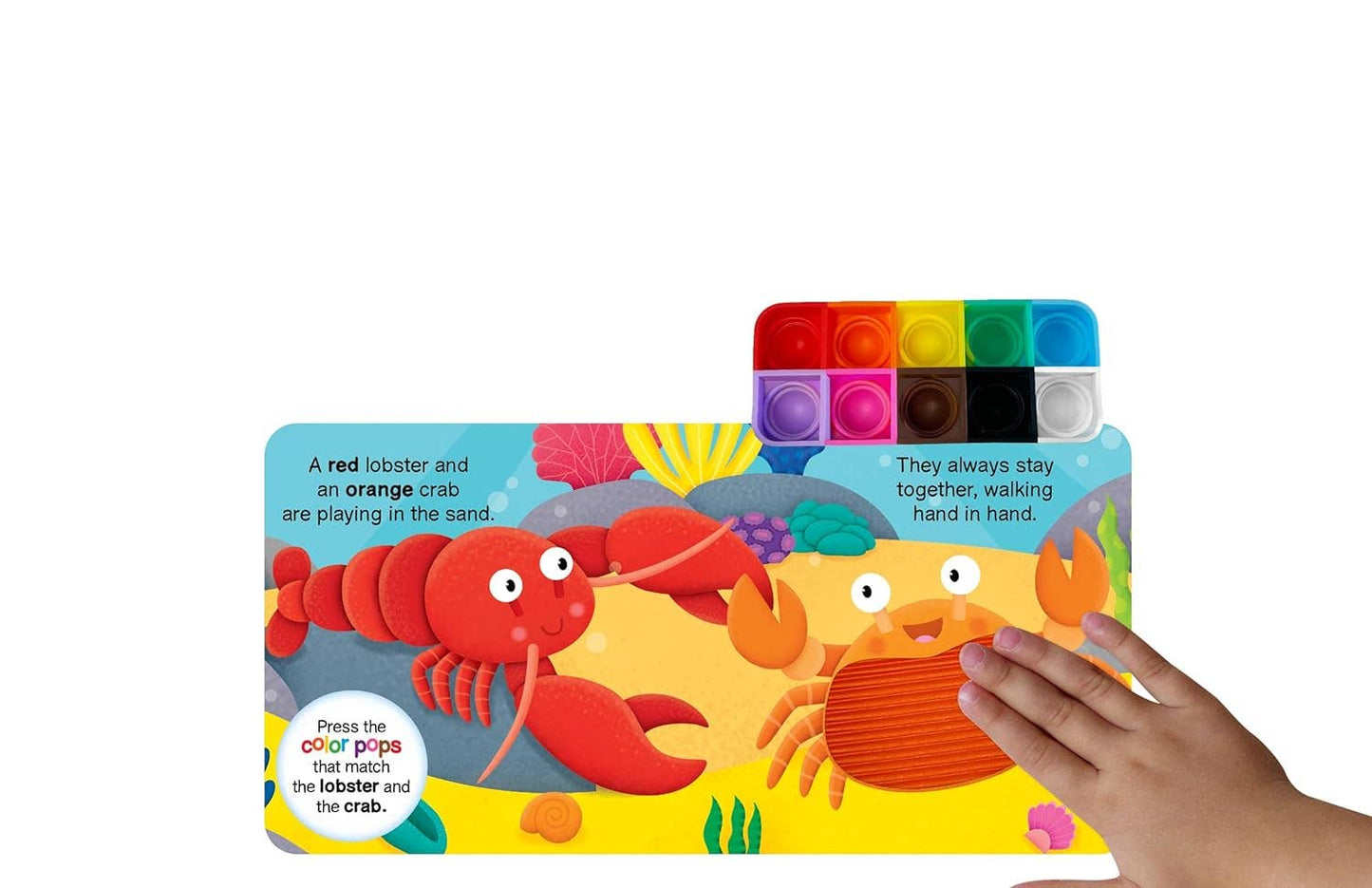 Ocean Colors - Sensory - Little Hippo Books - Glee Garden