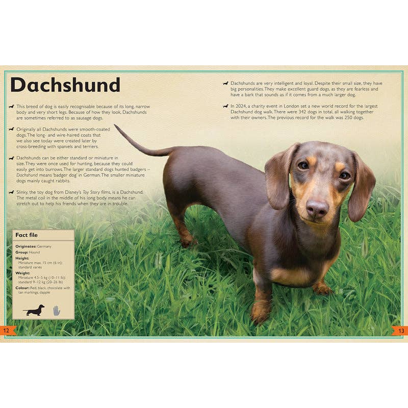 Insight Editions - The Magnificent Book of Dogs: Super-Sized