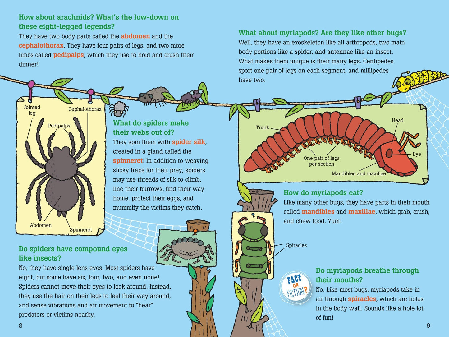 Peter Pauper Press - 100 Questions about Bugs