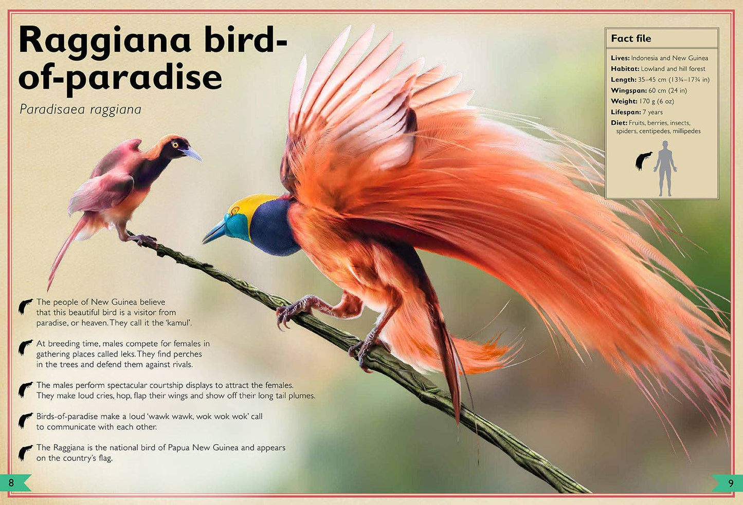 Insight Editions - The Magnificent Book of Birds