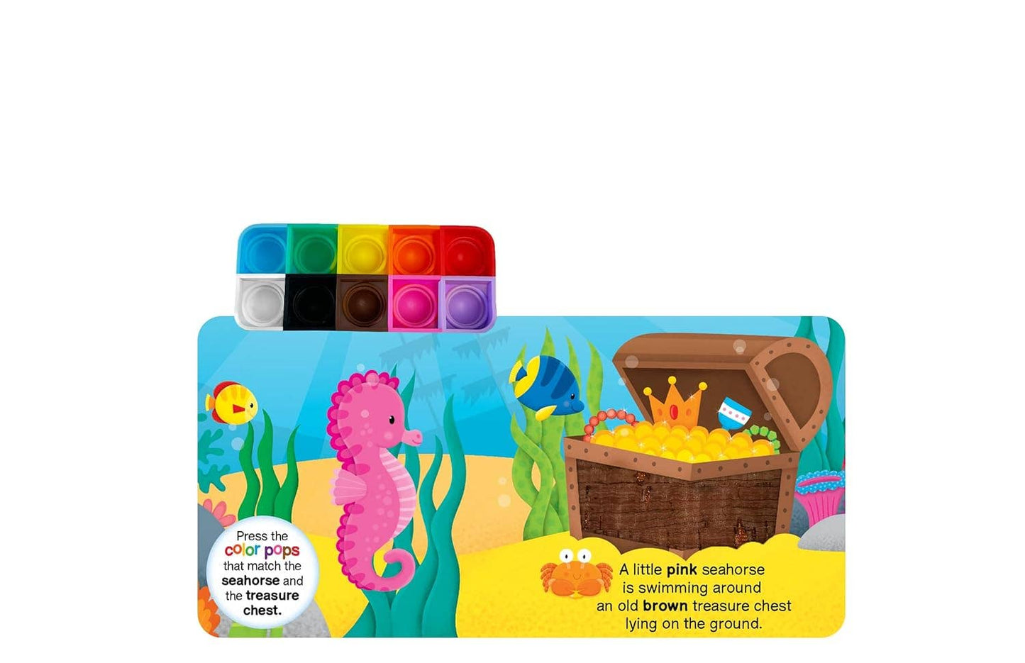 Ocean Colors - Sensory - Little Hippo Books - Glee Garden