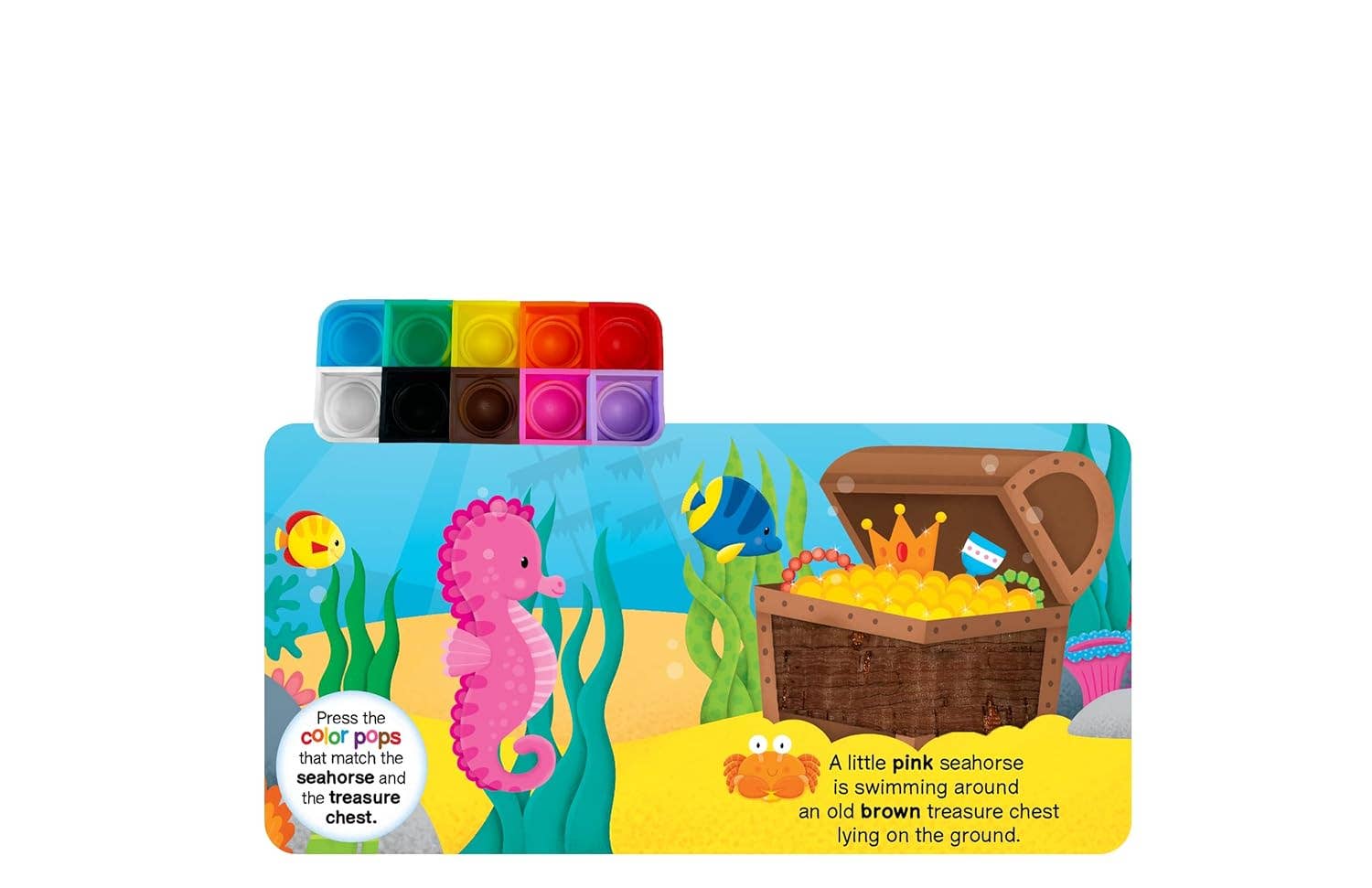 Ocean Colors - Sensory - Little Hippo Books - Glee Garden