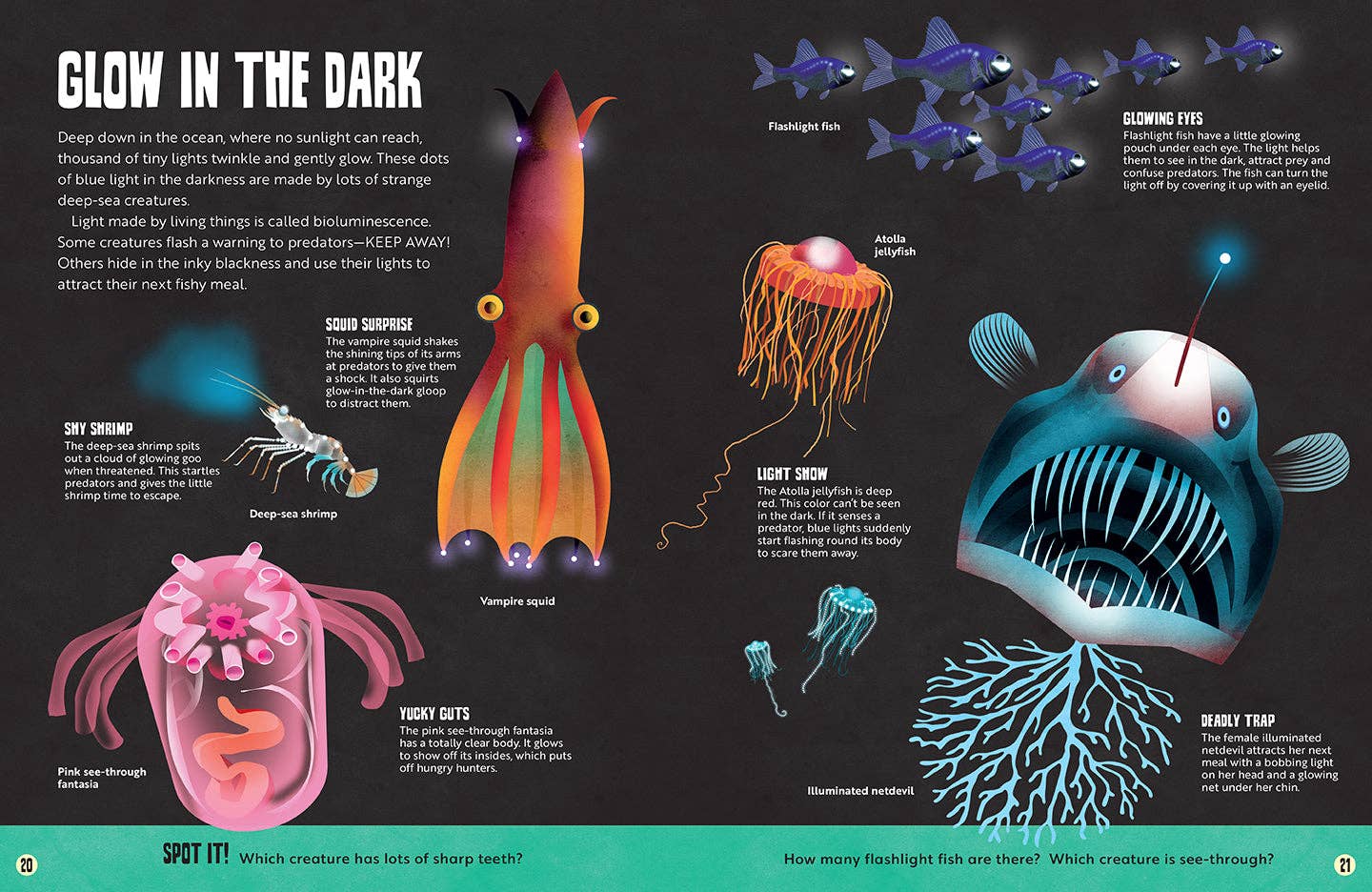 Insight Editions - My First Oceans Atlas