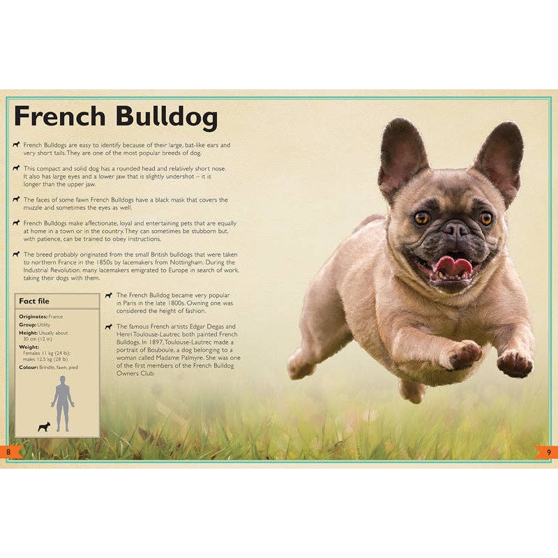 Insight Editions - The Magnificent Book of Dogs: Super-Sized