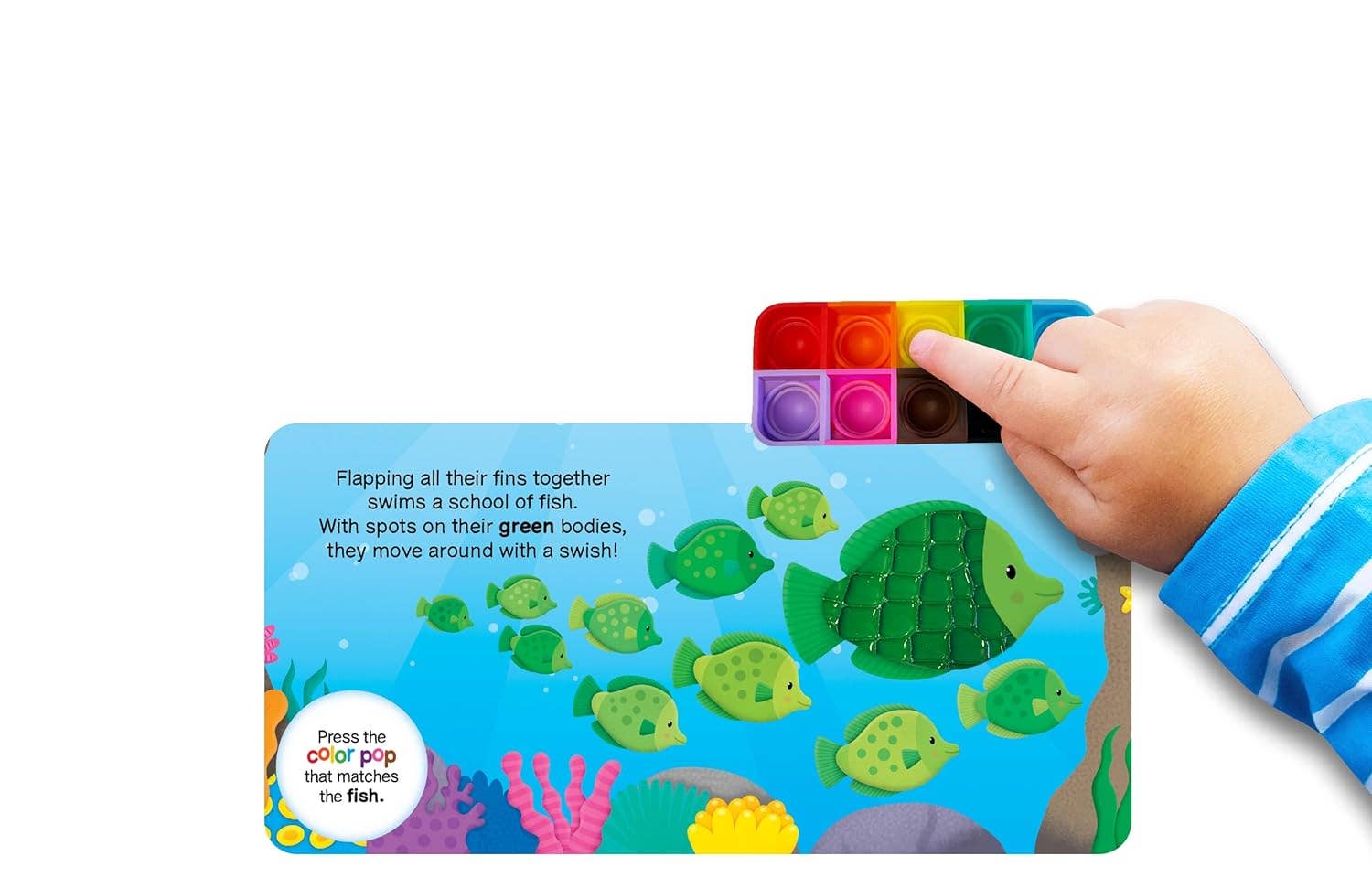 Ocean Colors - Sensory - Little Hippo Books - Glee Garden