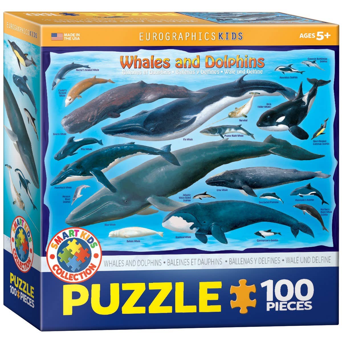 Eurographics Puzzles Canada - Whales and Dolphins - Premium Quality