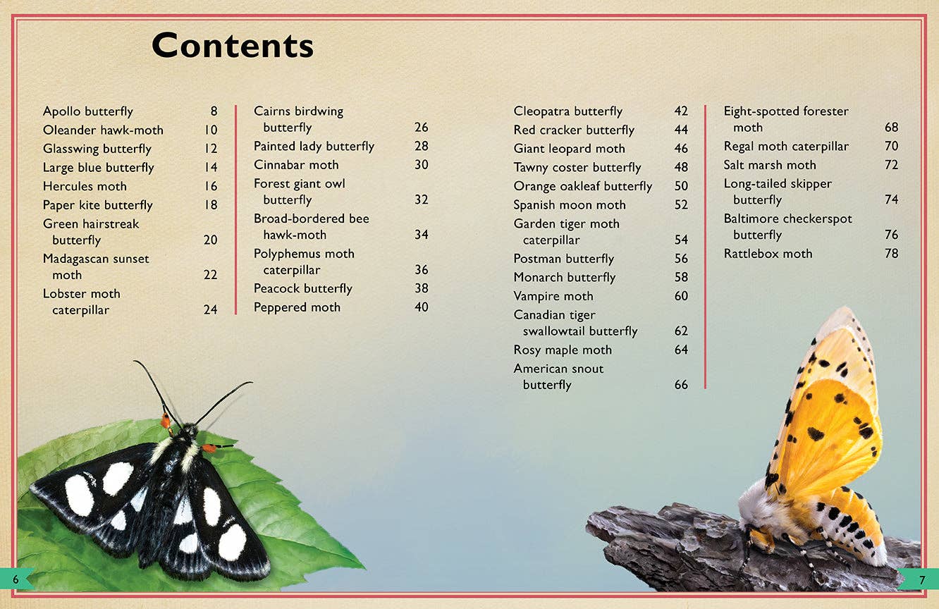 Insight Editions - The Magnificent Book of Butterflies & Moths