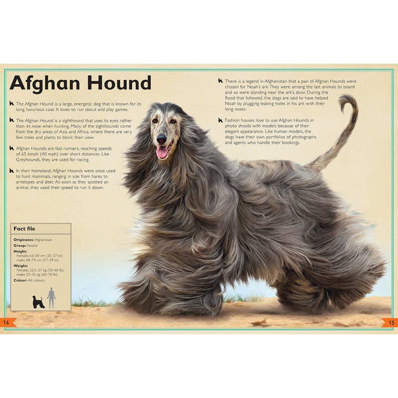 Insight Editions - The Magnificent Book of Dogs: Super-Sized