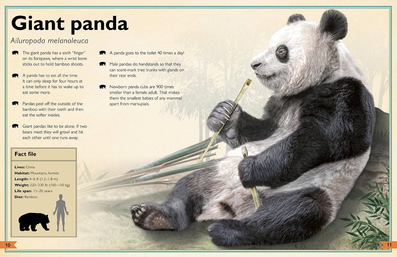 Insight Editions - The Magnificent Book of Animals