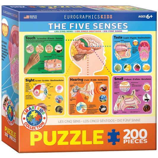 Eurographics Puzzles Canada - The Five Senses - Premium Quality