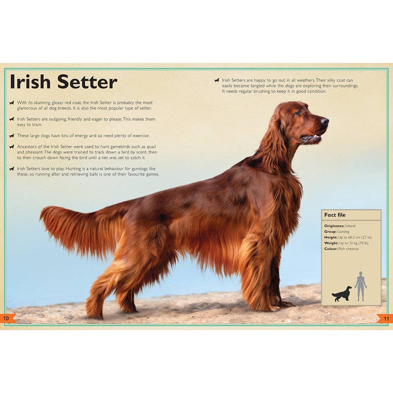 Insight Editions - The Magnificent Book of Dogs: Super-Sized