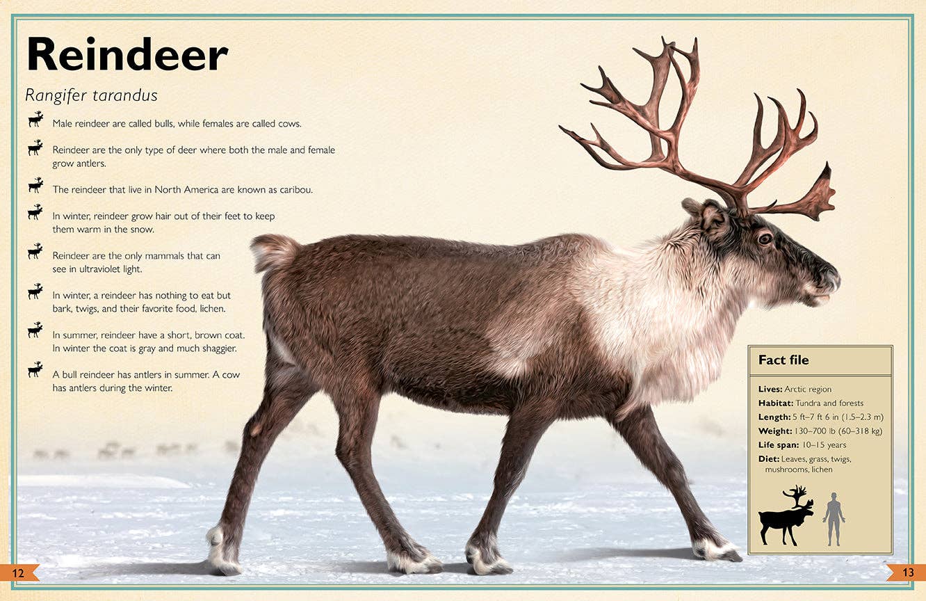 Insight Editions - The Magnificent Book of Animals