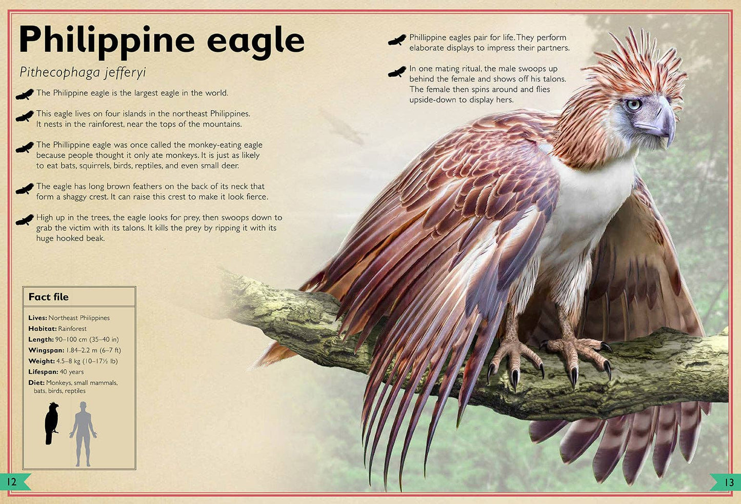 Insight Editions - The Magnificent Book of Birds